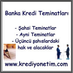 Banka Kredi Teminatları