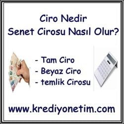 Ciro Nedir Senet Cirosu Nasıl Olur?