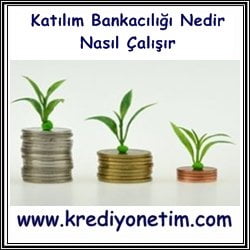 Katılım Bankacılığı Nedir?