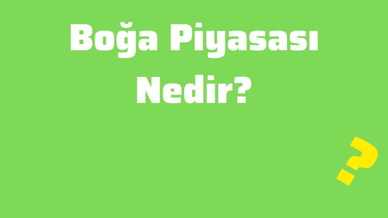Boğa Piyasası Nedir