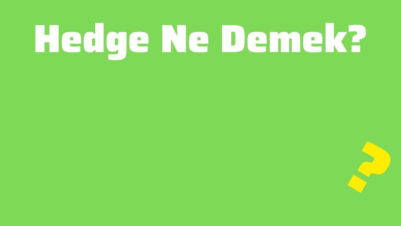 Hedge Ne Demek