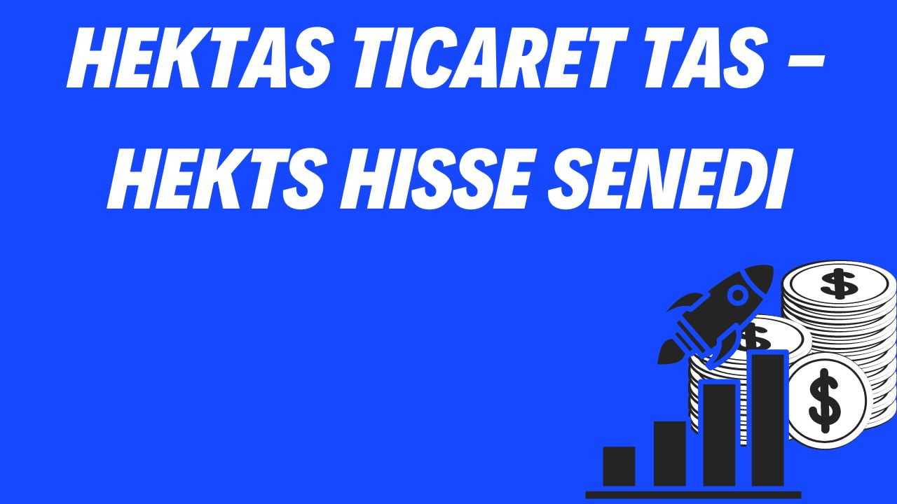 Hektas Ticaret TAS - HEKTS Hisse Senedi