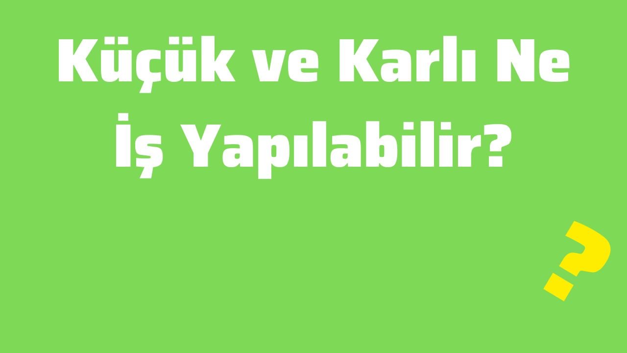Küçük ve Karlı Ne İş Yapılabilir