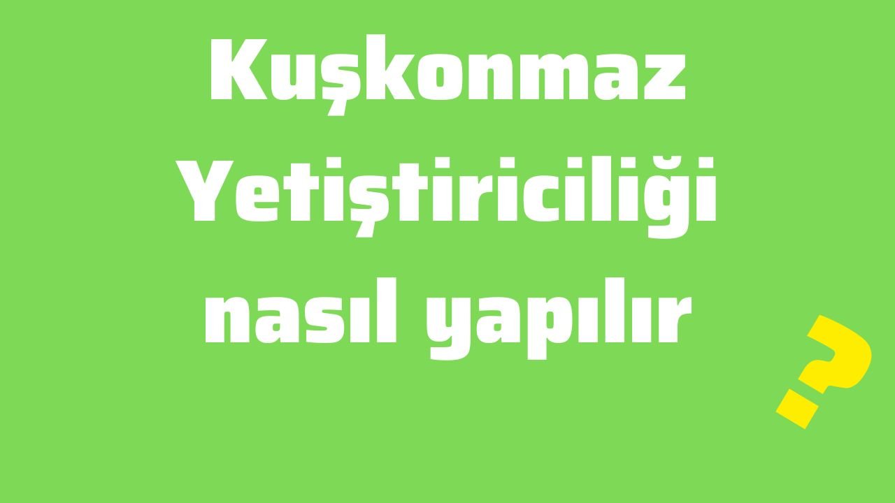 Kuşkonmaz Yetiştiriciliği nasıl yapılır Kuşkonmaz yetiştiriciliği karlı mı