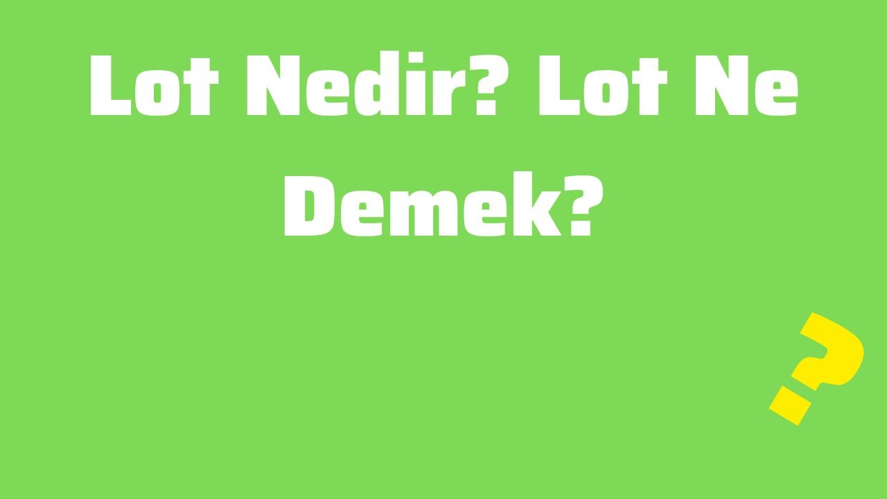 Lot Nedir Lot Ne Demek