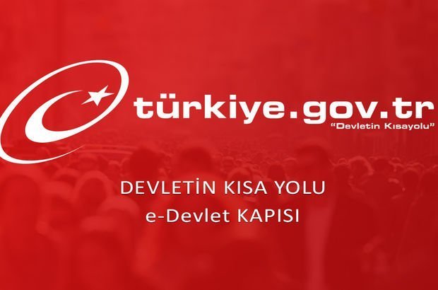 E Devlet