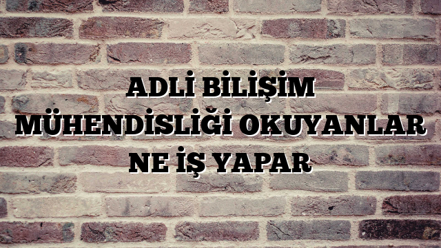ADLİ BİLİŞİM MÜHENDİSLİĞİ OKUYANLAR NE İŞ YAPAR