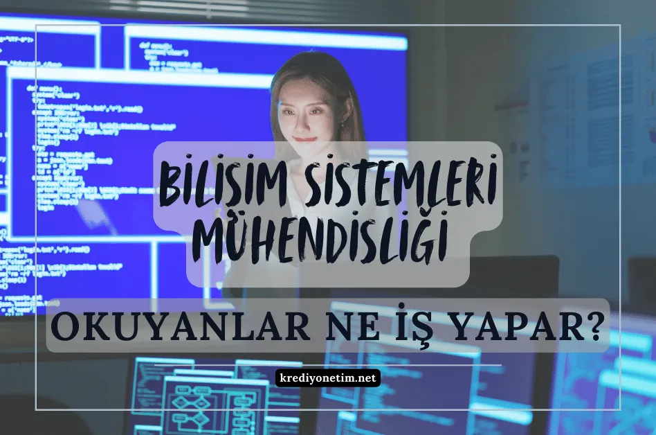 Bilişim Sistemleri Mühendisliği