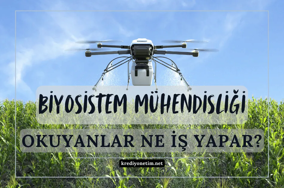 Biyosistem mühendisliği