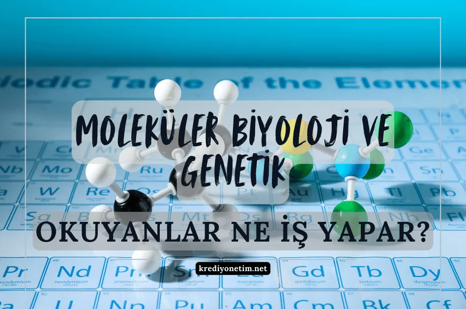 Moleküler biyoloji ve genetik