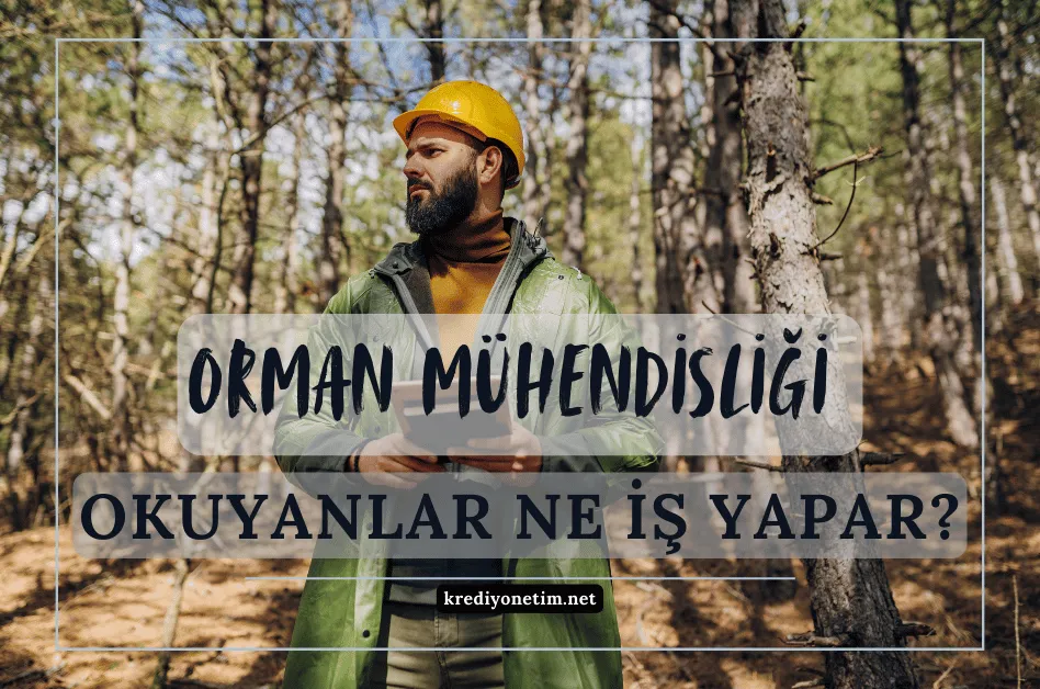 Orman mühendisliği