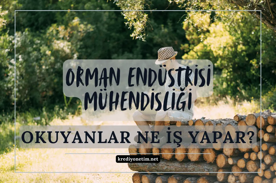 ORMAN ENDÜSTRİSİ MÜHENDİSLİĞİ