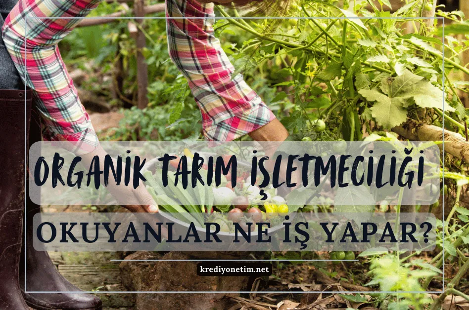 Organik tarım işletmeciliği