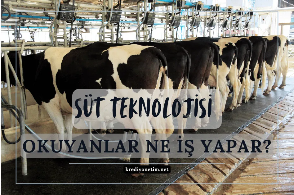 Süt teknolojisi