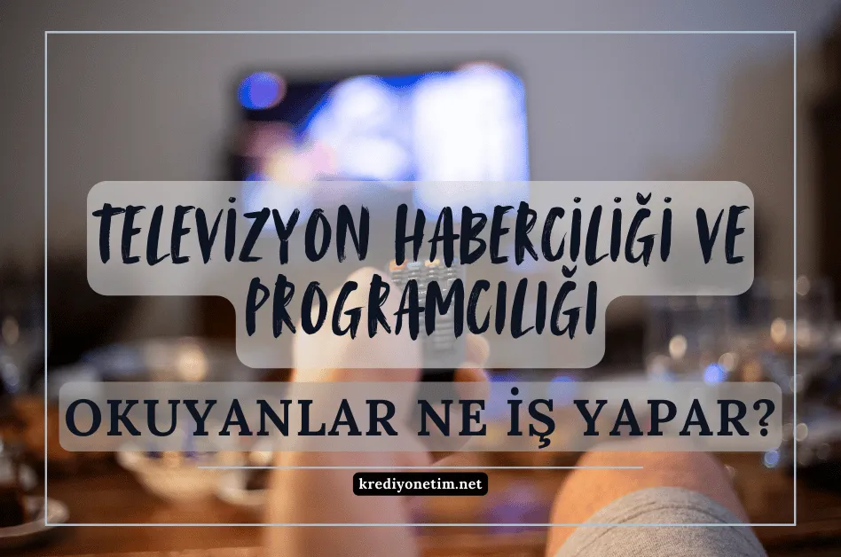 Televizyon haberciliği ve programcılığı