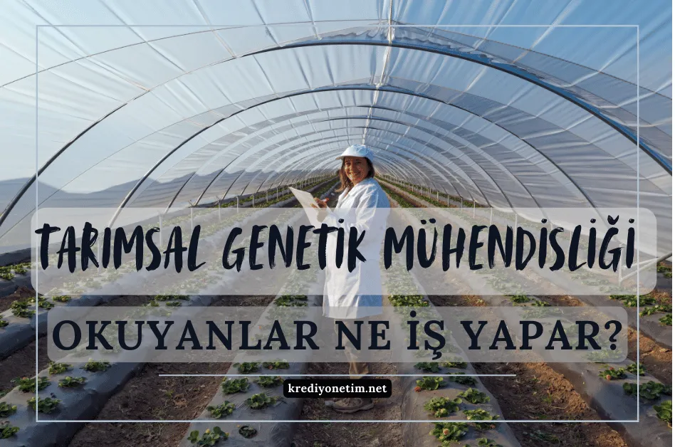 Tarımsal genetik mühendisliği