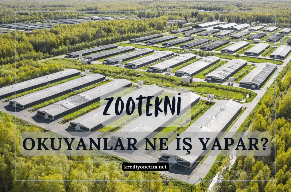 zootekni