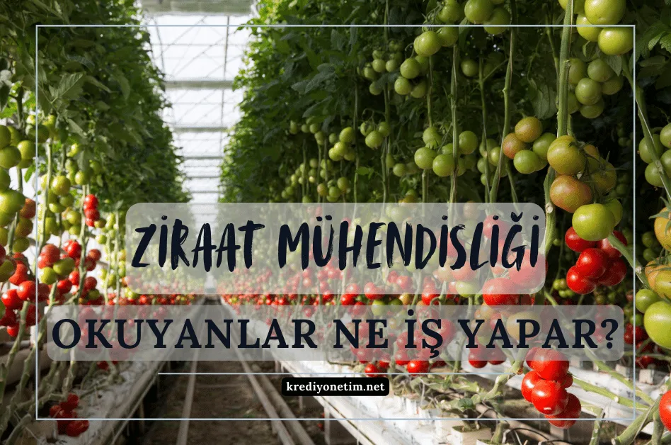 Ziraat Mühendisliği
