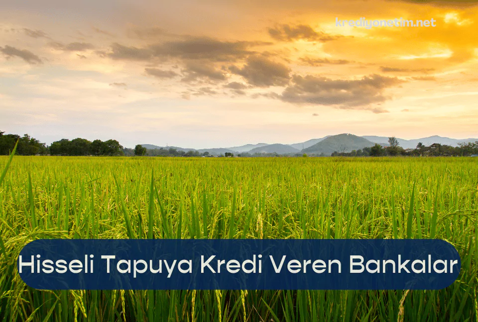 Hisseli Tapuya Kredi Veren Bankalar